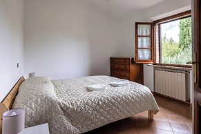 Oliveto Del Cantarello