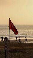 Eco Bay Surf Camp