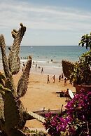 Eco Bay Surf Camp