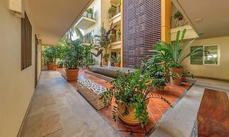 Chic Studio -rooftop Pool - Ocean View - King Bed