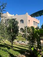 Dar mimosa