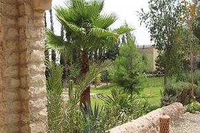 Dar mimosa