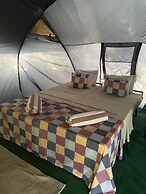Wild Paradise Camp