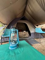 Wild Paradise Camp