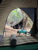 Wild Paradise Camp