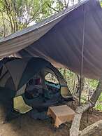 Wild Paradise Camp