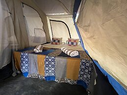 Wild Paradise Camp