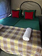 Wild Paradise Camp