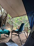 Wild Paradise Camp