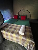Wild Paradise Camp