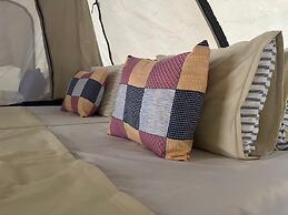 Wild Paradise Camp