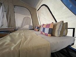 Wild Paradise Camp