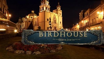 Birdhouse