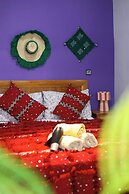 BLUERINA CAMP HOSTEL