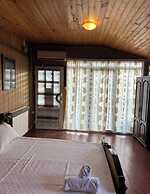 Odelia hostel