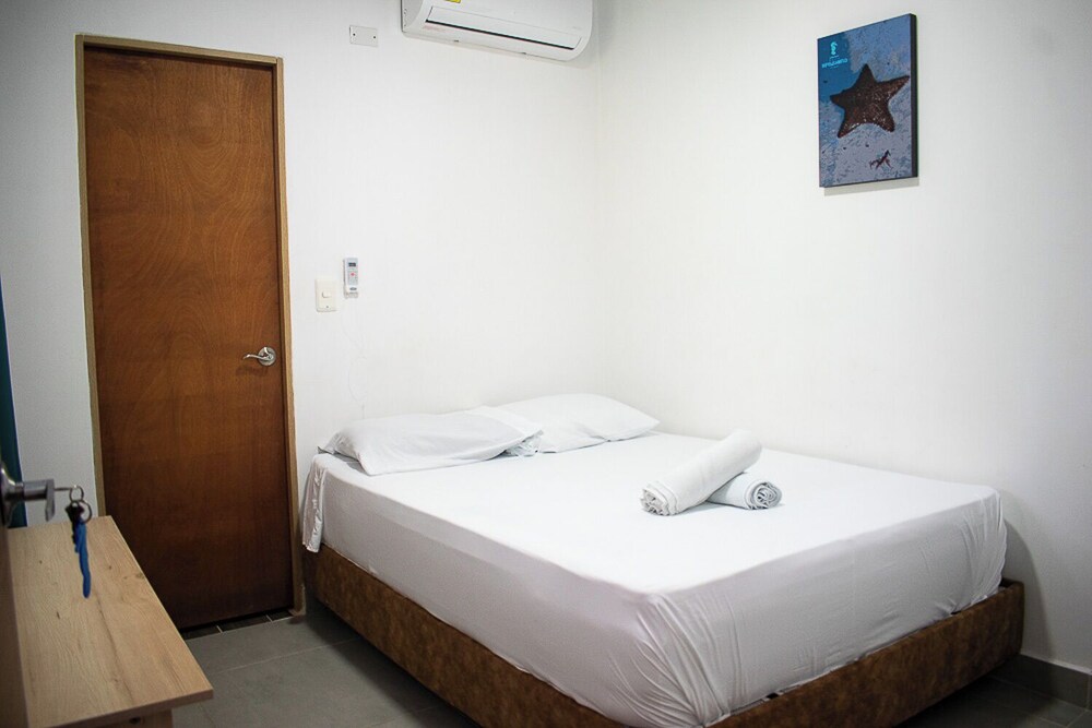 Sukha Hippocampus