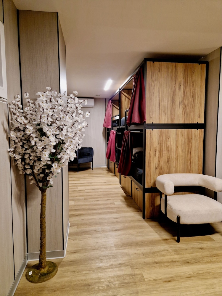 Velvet Hostel Business