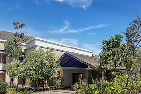 Club Mahindra Resort - Tungi