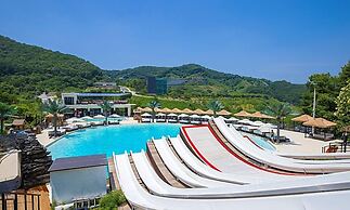 Chuncheon bali 376