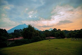 Mountain Gorilla View Lodge