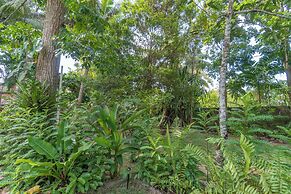Bird Of Paradise - Ahangama Villa