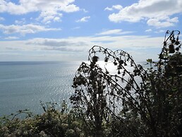 Mayflower View