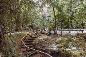 BOG Torres del Bayo