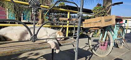 The Upcycled Hostel