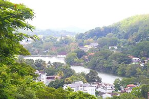 The Dorwin Heights