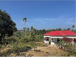 Bonsai Eco Village