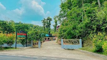 Mountain Springs Resort