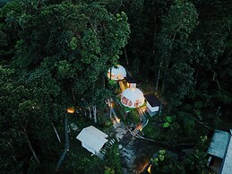 Matahom Forest Glamping Tent 2
