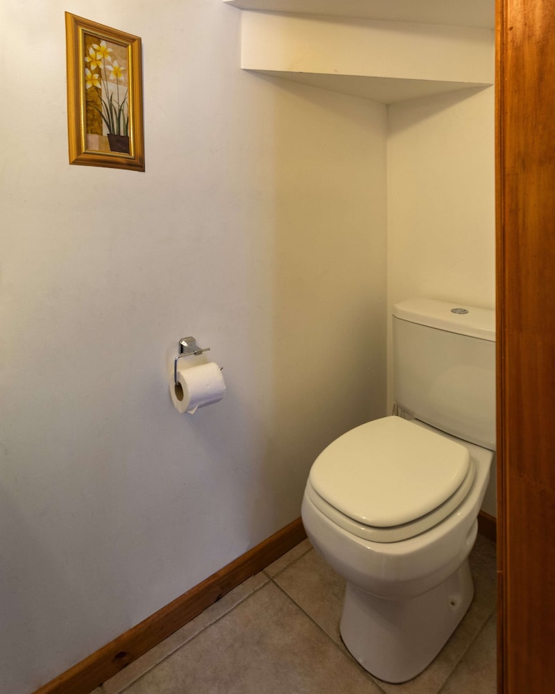 BOG Apart Foresta