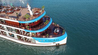 Cycad Cruise