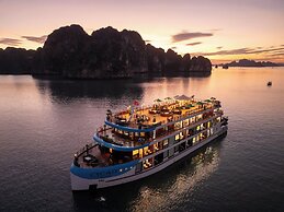 Cycad Cruise