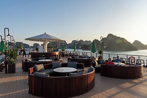 Cycad Cruise