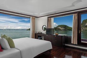 Cycad Cruise