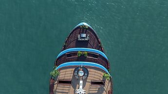 Cycad Cruise