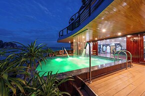Cycad Cruise