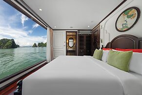 Cycad Cruise