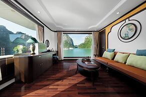 Cycad Cruise