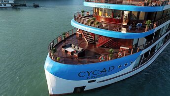 Cycad Cruise