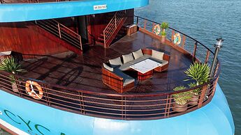 Cycad Cruise