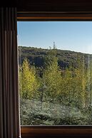 Silver Valley