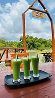 Banabash Eco Village Sundarban