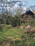 Glamping Machupicchu Lodge