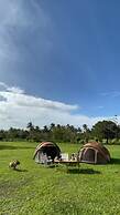 Eljoy's Forest Resort