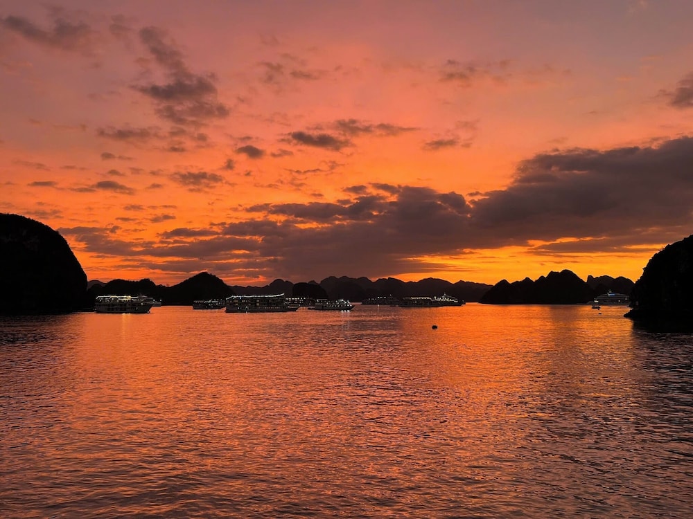 Vietsails cruises