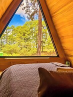 Tiny Pines Glamping