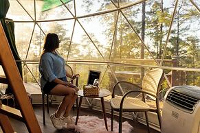 Tiny Pines Glamping